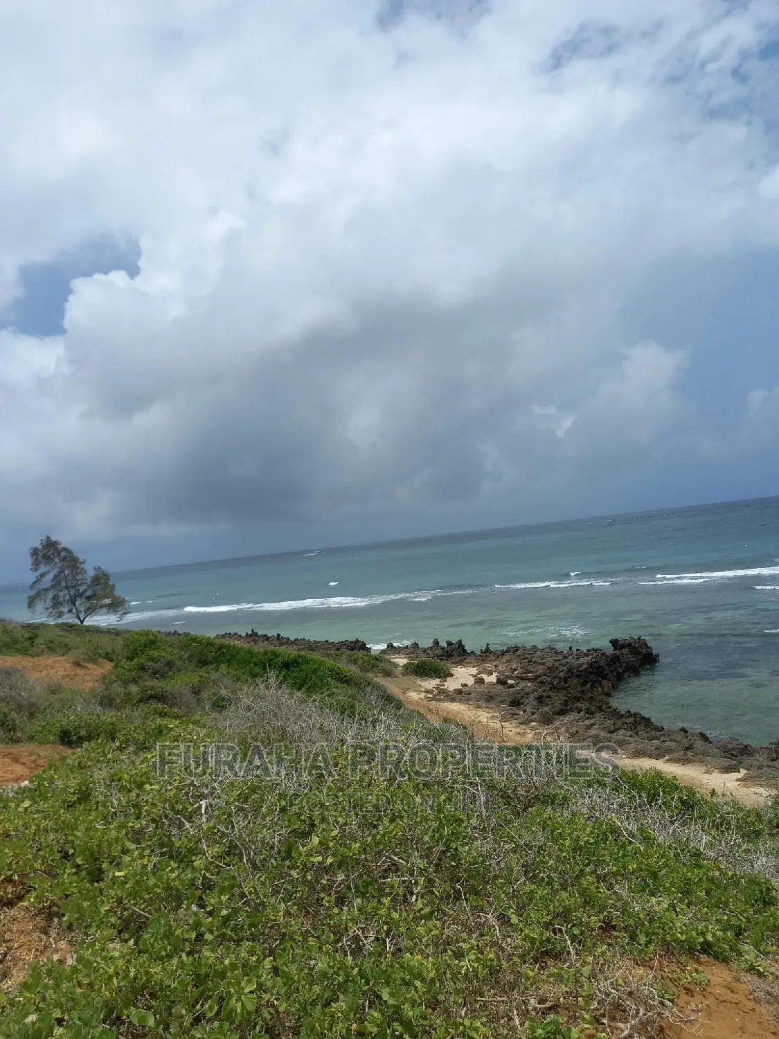 Kilifi 6-Acre Beachfront Land - For Sale in Kilifi Town