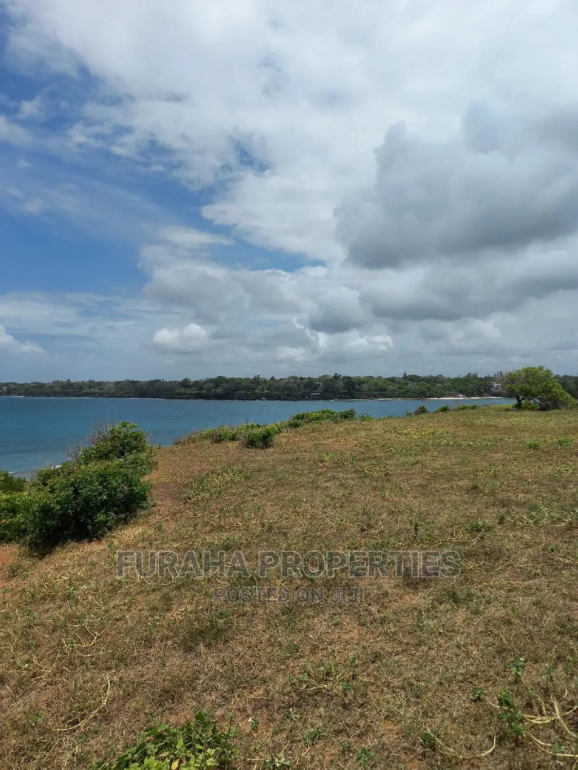 Kilifi 6-Acre Beachfront Land - For Sale in Kilifi Town