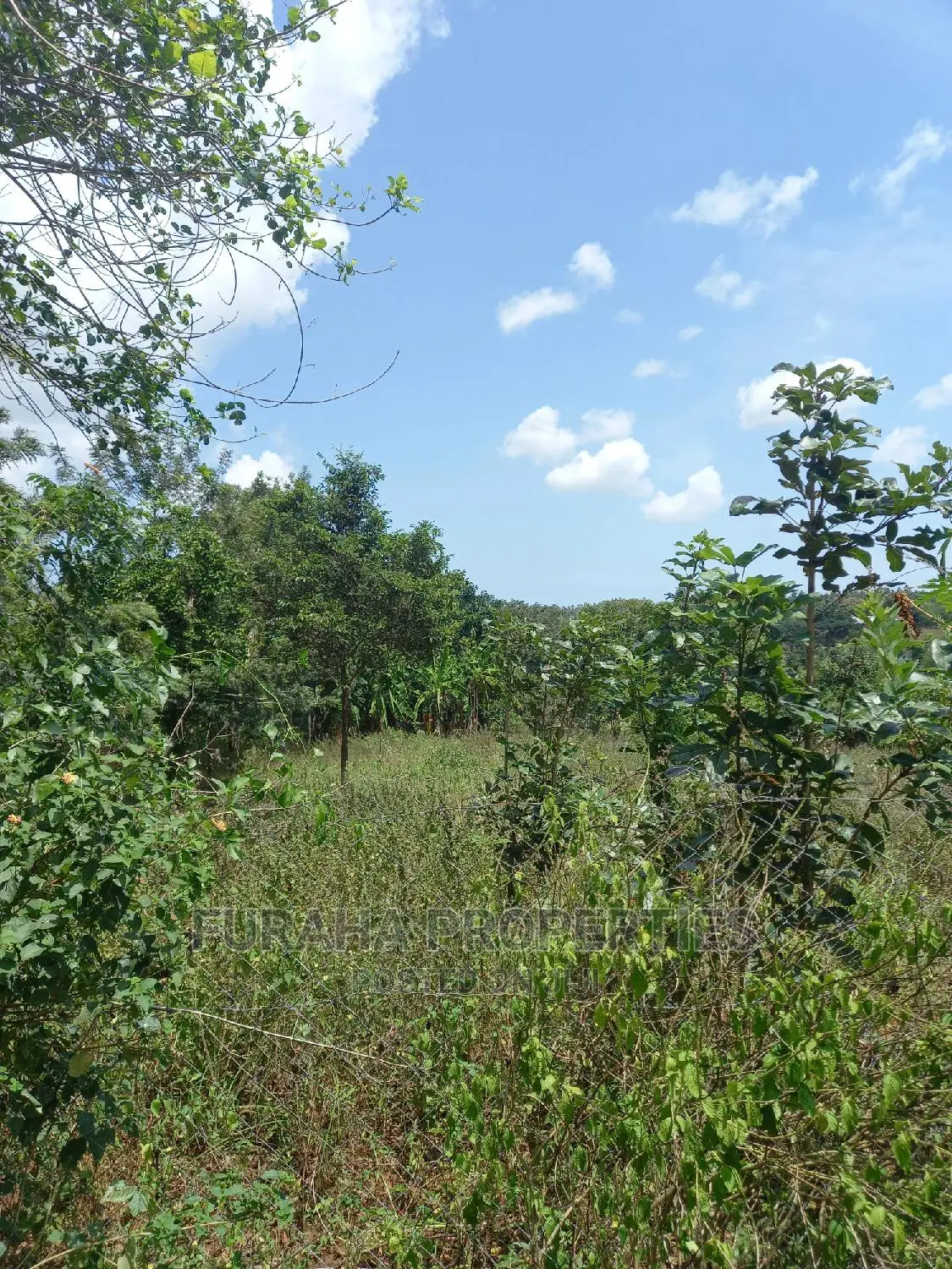 11 Acre Agricultural Land for Sale in Ramisi - Ideal Investment Opportunity in Ramisi