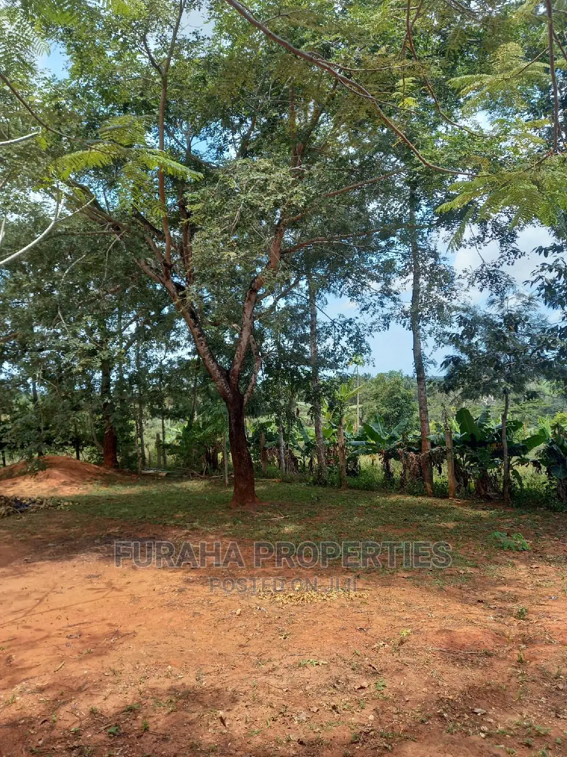 11 Acre Agricultural Land for Sale in Ramisi - Ideal Investment Opportunity in Ramisi