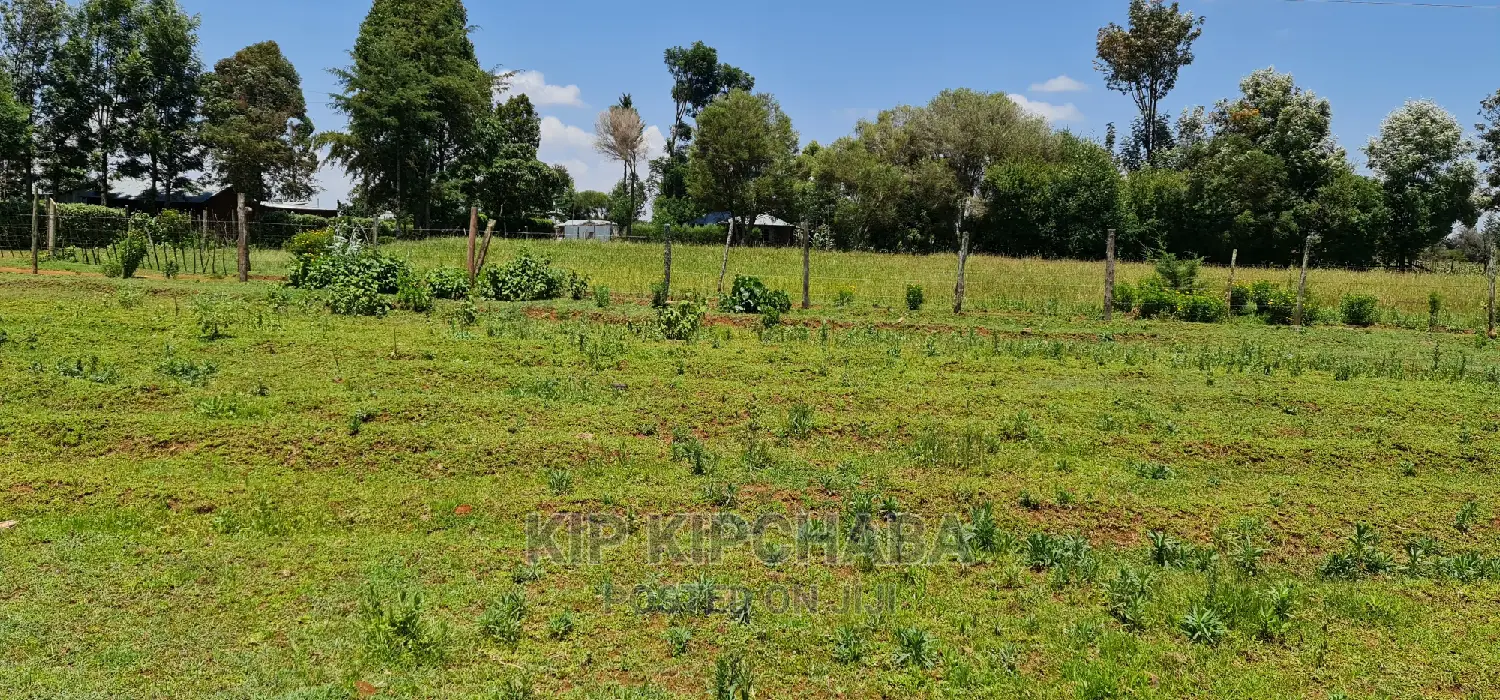 Kuinet Area Plots for Sale Along Eldoret Ziwa Highway in Kuinet