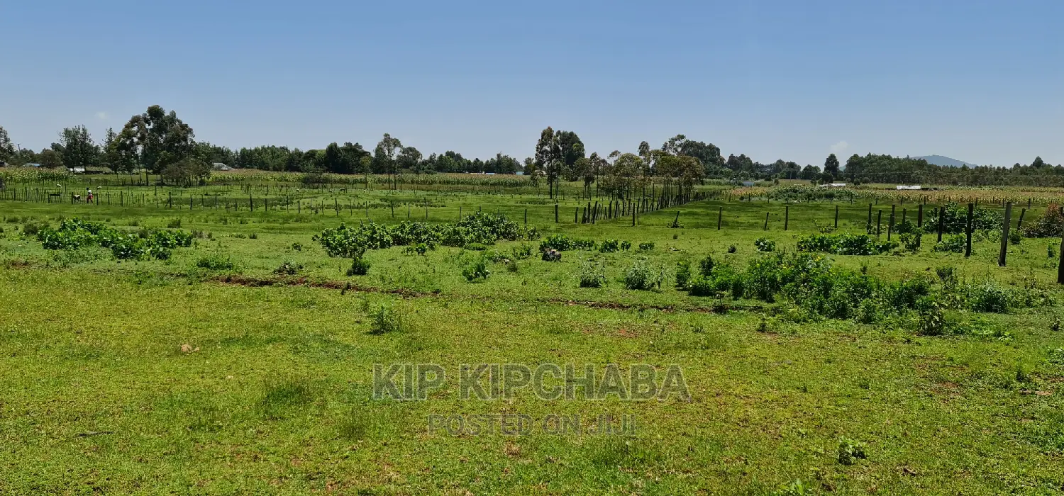 Kuinet Area Plots for Sale Along Eldoret Ziwa Highway in Kuinet