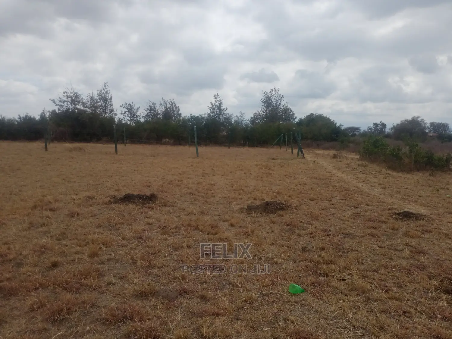 Chaka Prime Plots in Kieni