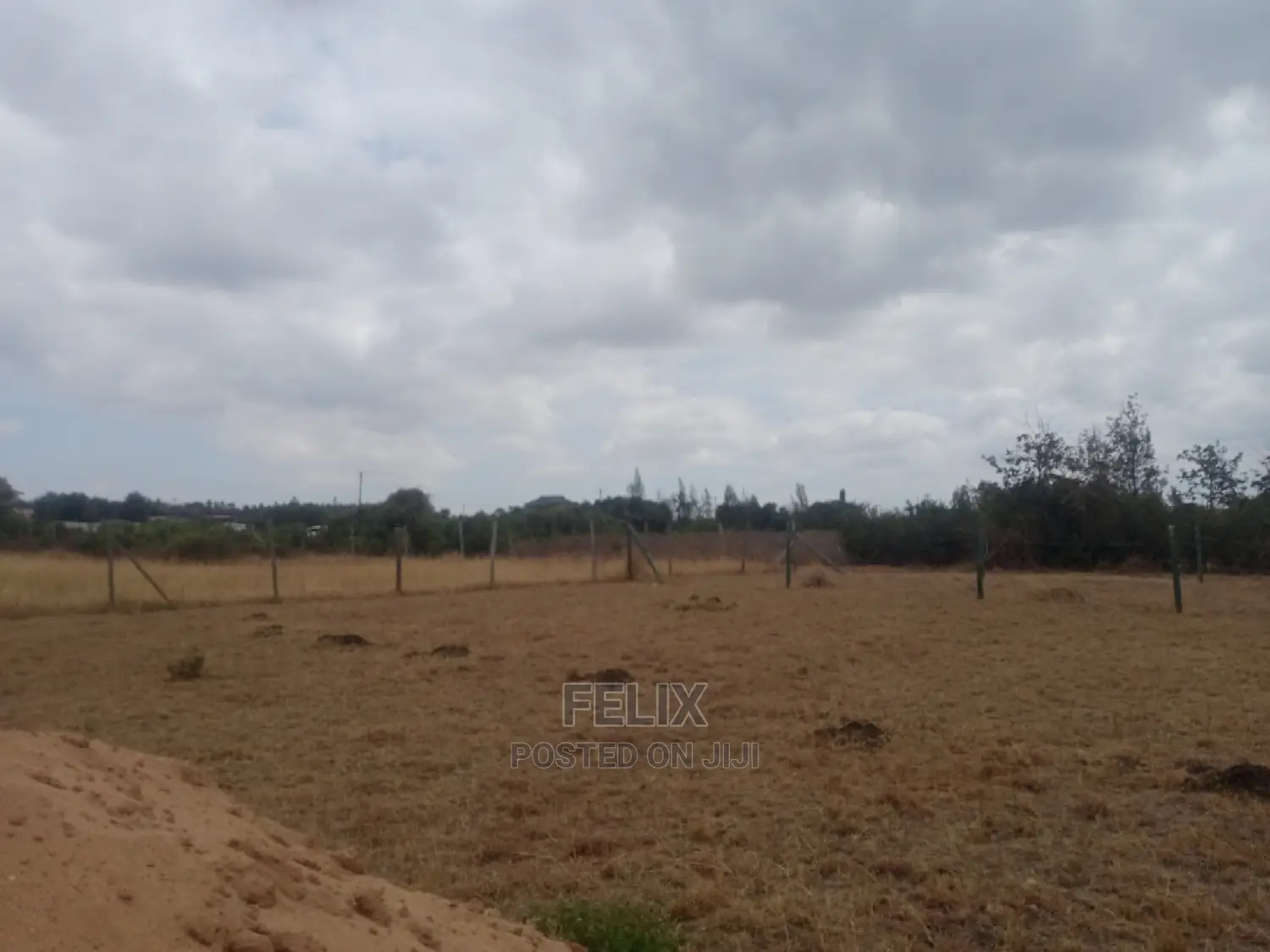 Chaka Prime Plots in Kieni