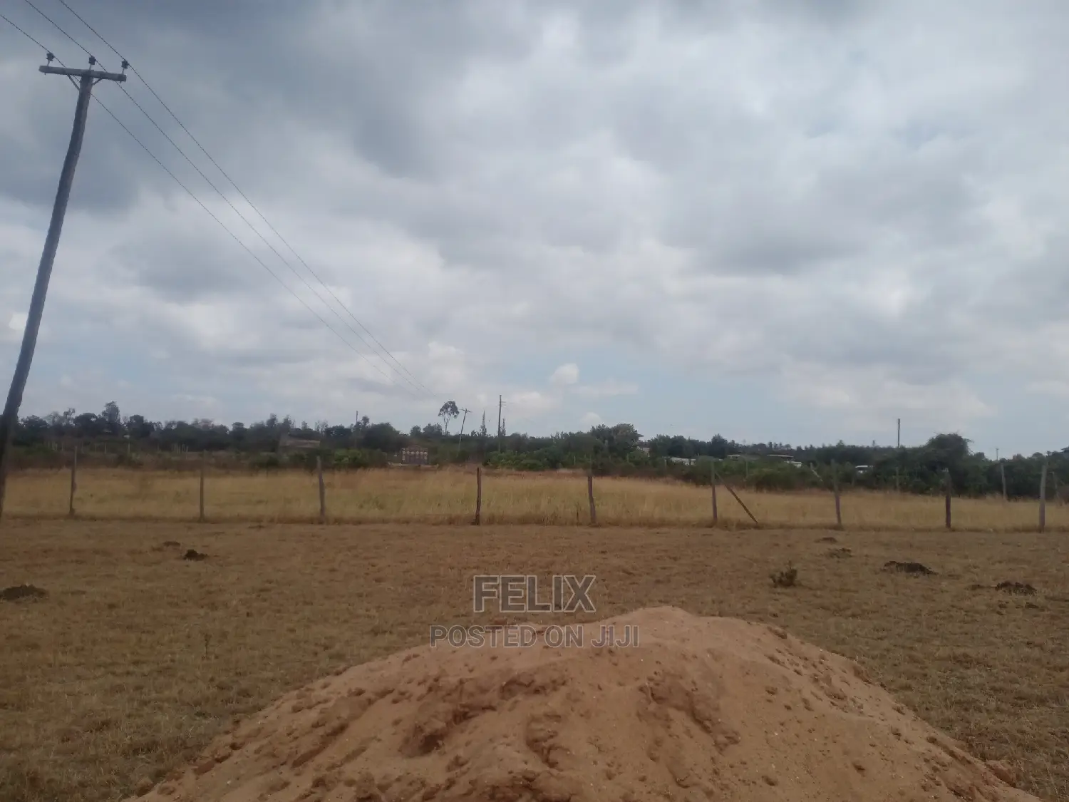 Chaka Prime Plots in Kieni