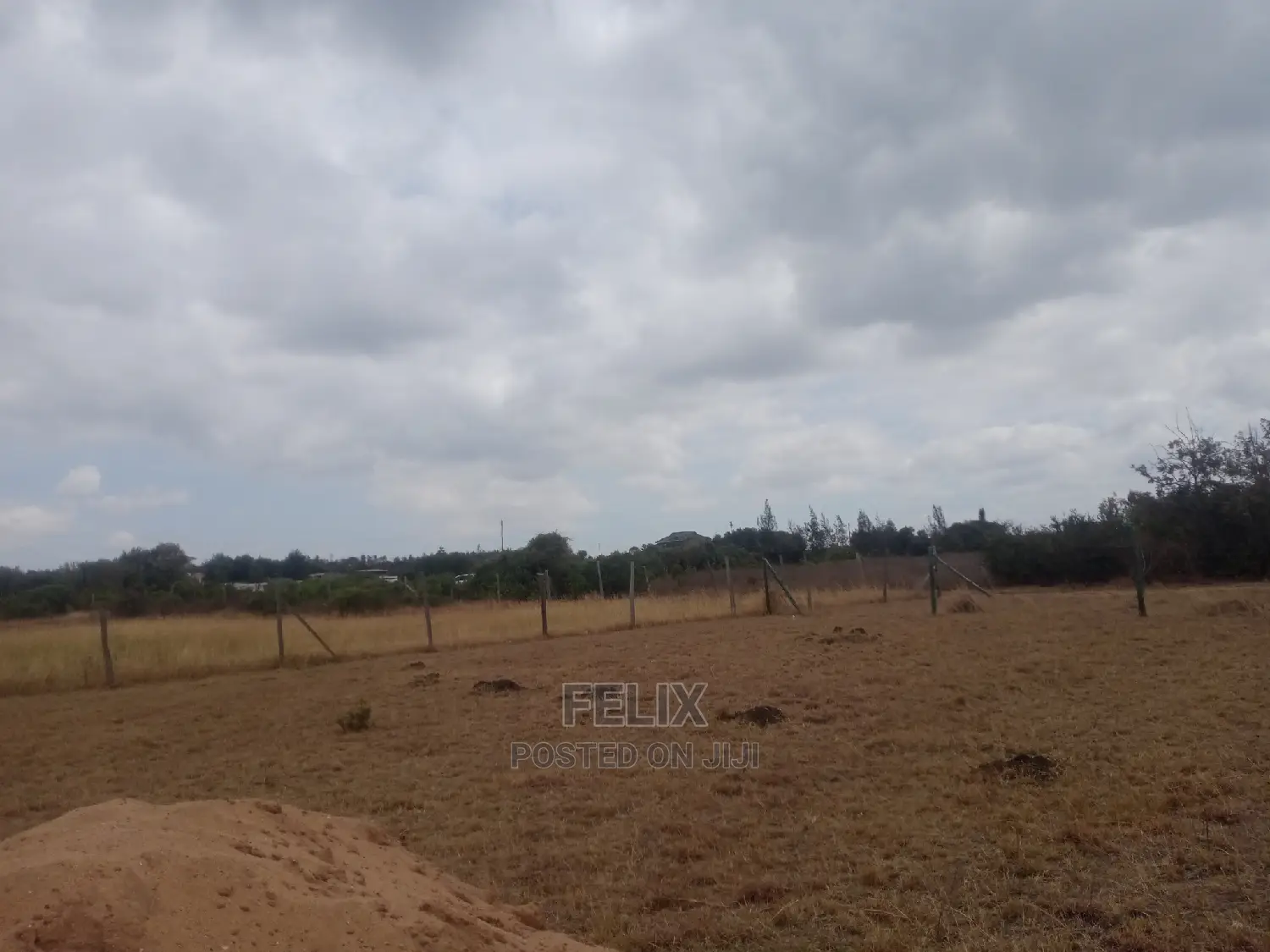 Chaka Prime Plots in Kieni