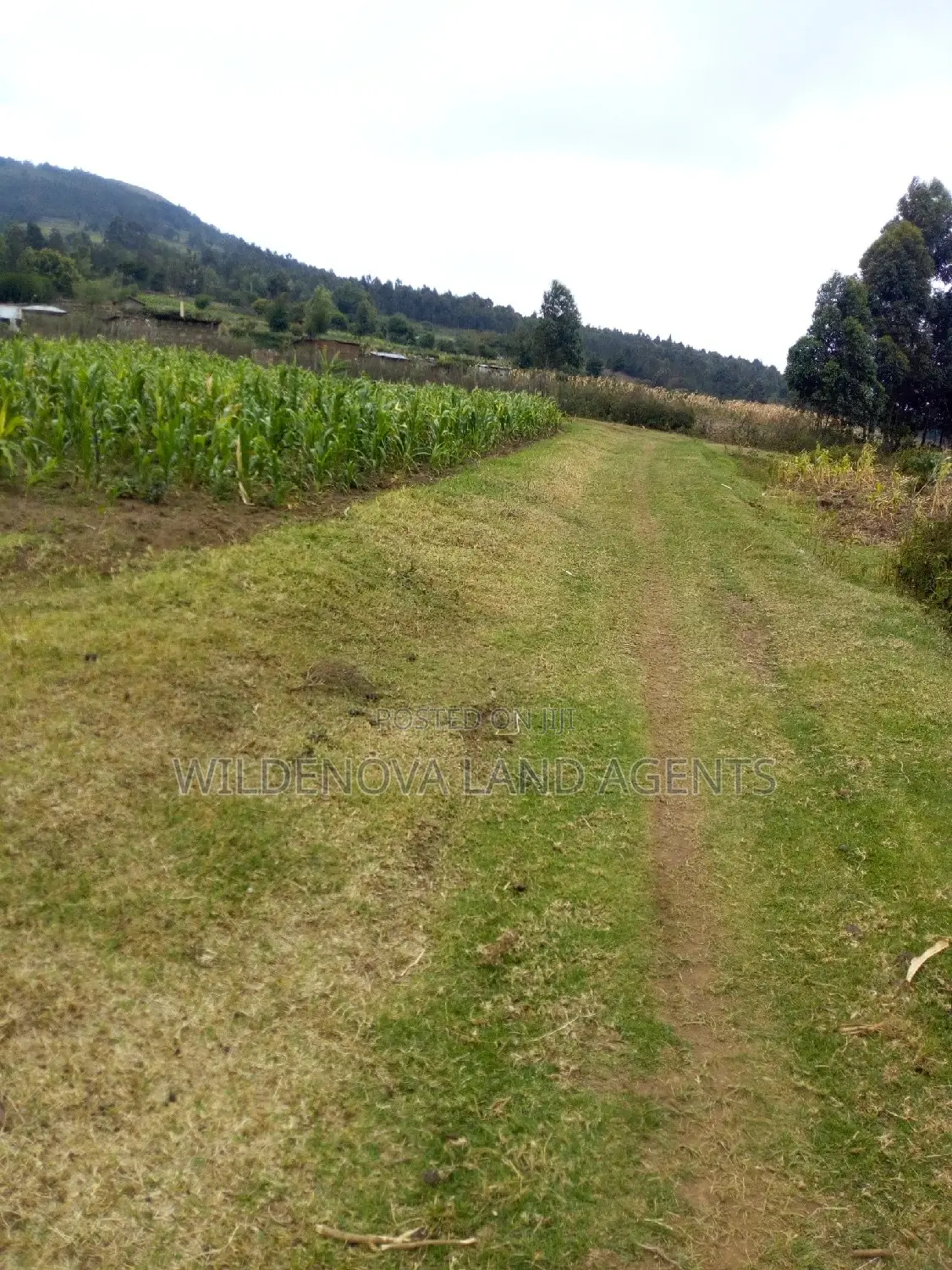 100*100 Plot Available for Sale in Kenton, Naivasha in Biashara