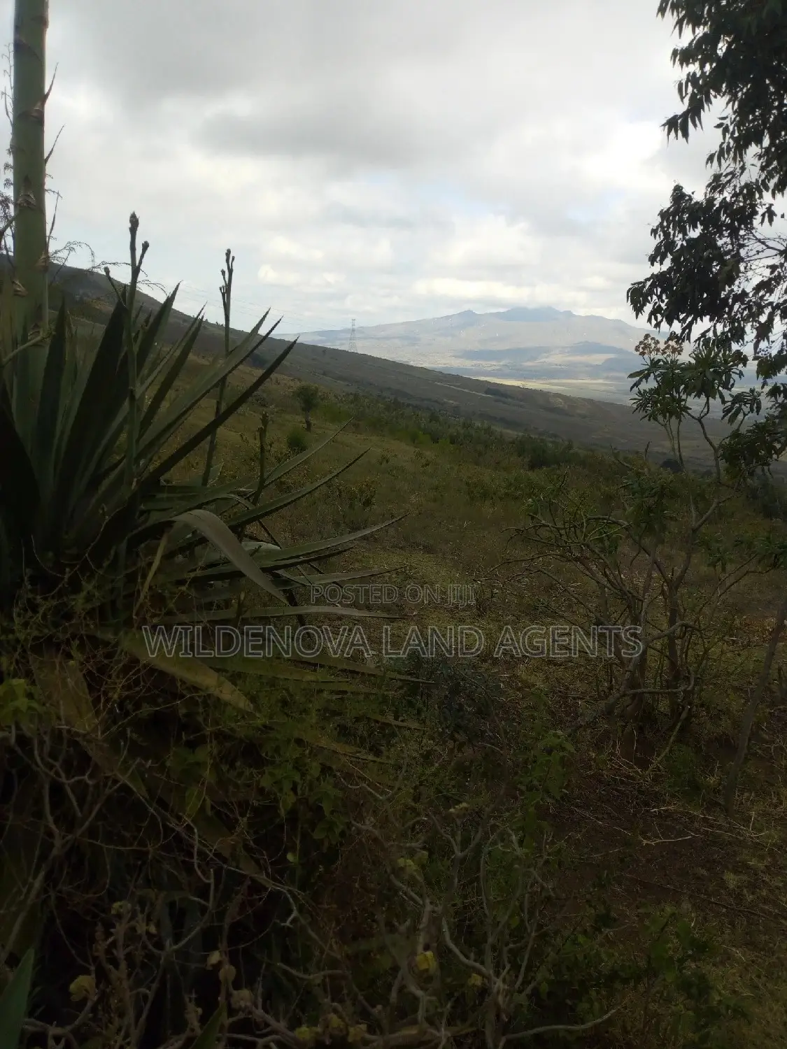 100*100 Plot Available for Sale in Kenton, Naivasha in Biashara