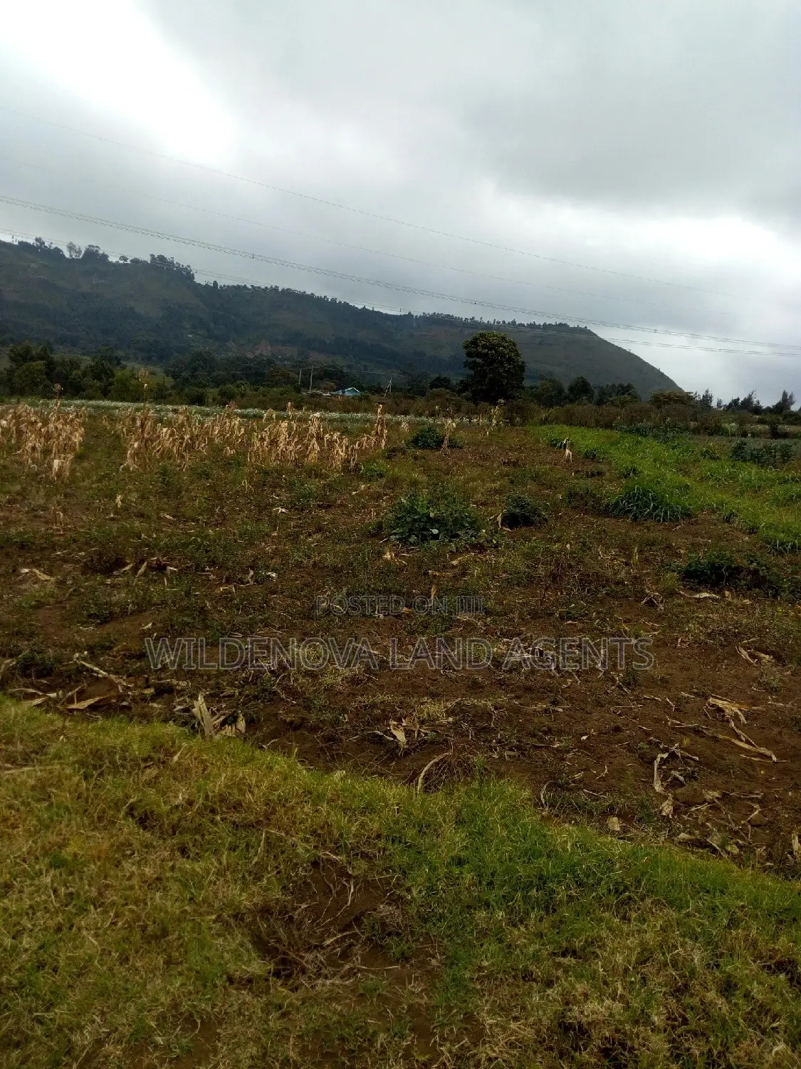 100*100 Plot Available for Sale in Kenton, Naivasha in Biashara