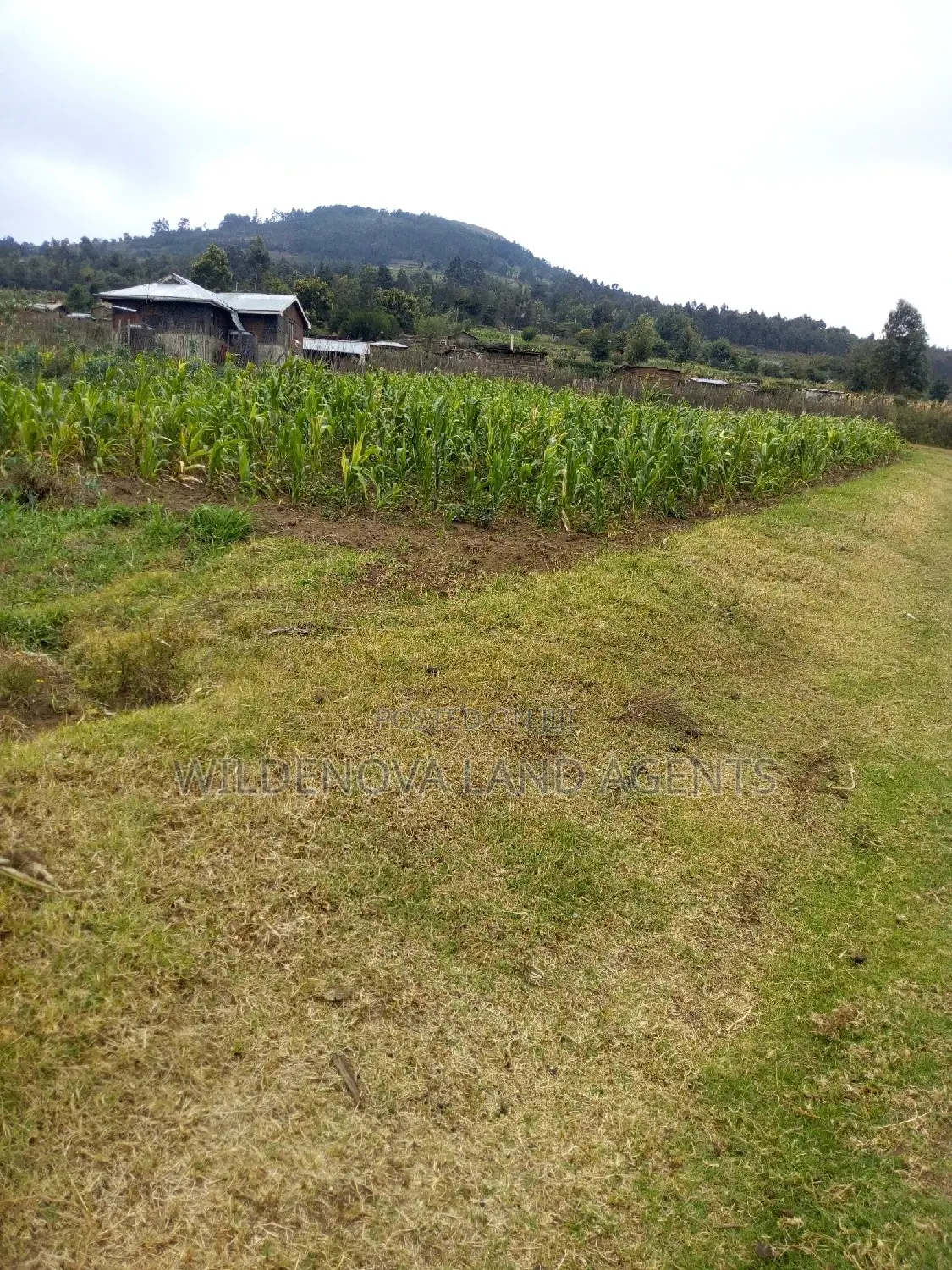 100*100 Plot Available for Sale in Kenton, Naivasha in Biashara