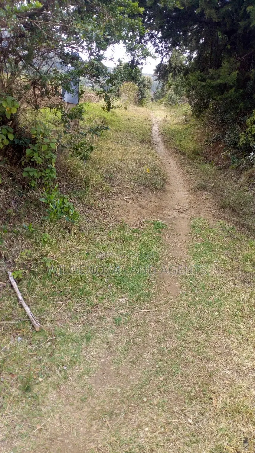 100*100 Plot Available for Sale in Kenton, Naivasha in Biashara