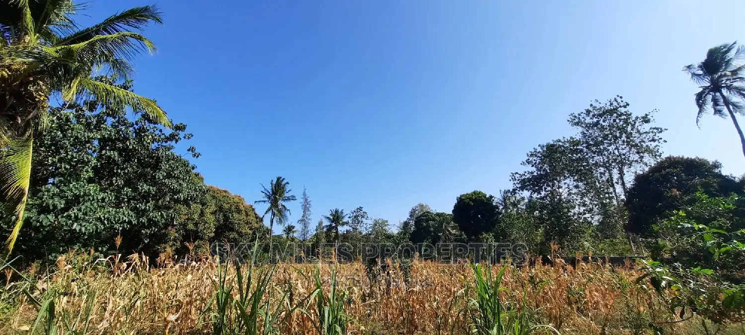 Affordable 50/100 Plots for Sale in Mtwapa Behind Kari - Invest Today! in Mtwapa