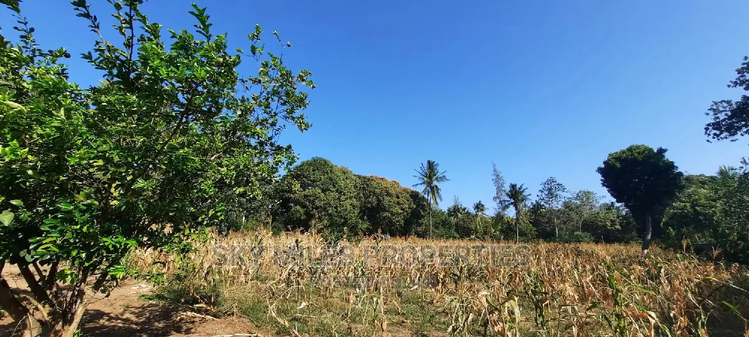 Affordable 50/100 Plots for Sale in Mtwapa Behind Kari - Invest Today! in Mtwapa