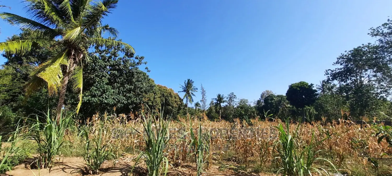Affordable 50/100 Plots for Sale in Mtwapa Behind Kari - Invest Today! in Mtwapa