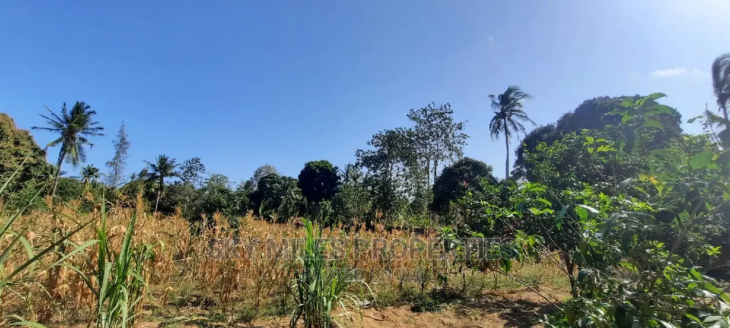 Affordable 50/100 Plots for Sale in Mtwapa Behind Kari - Invest Today! in Mtwapa