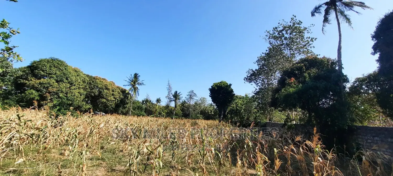 Affordable 50/100 Plots for Sale in Mtwapa Behind Kari - Invest Today! in Mtwapa