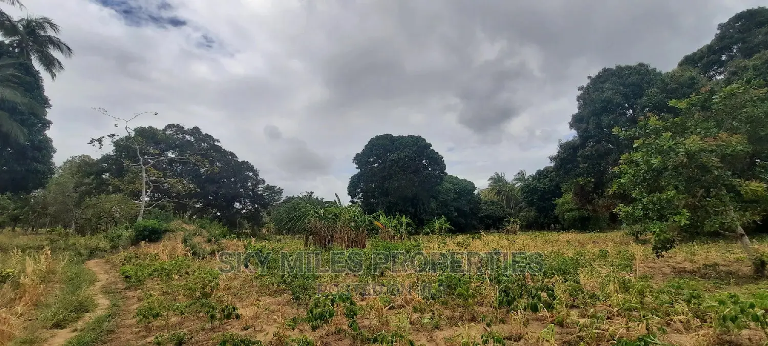 4 Acre Land in Mtwapa: Ideal for Investment Opportunities in Mtwapa