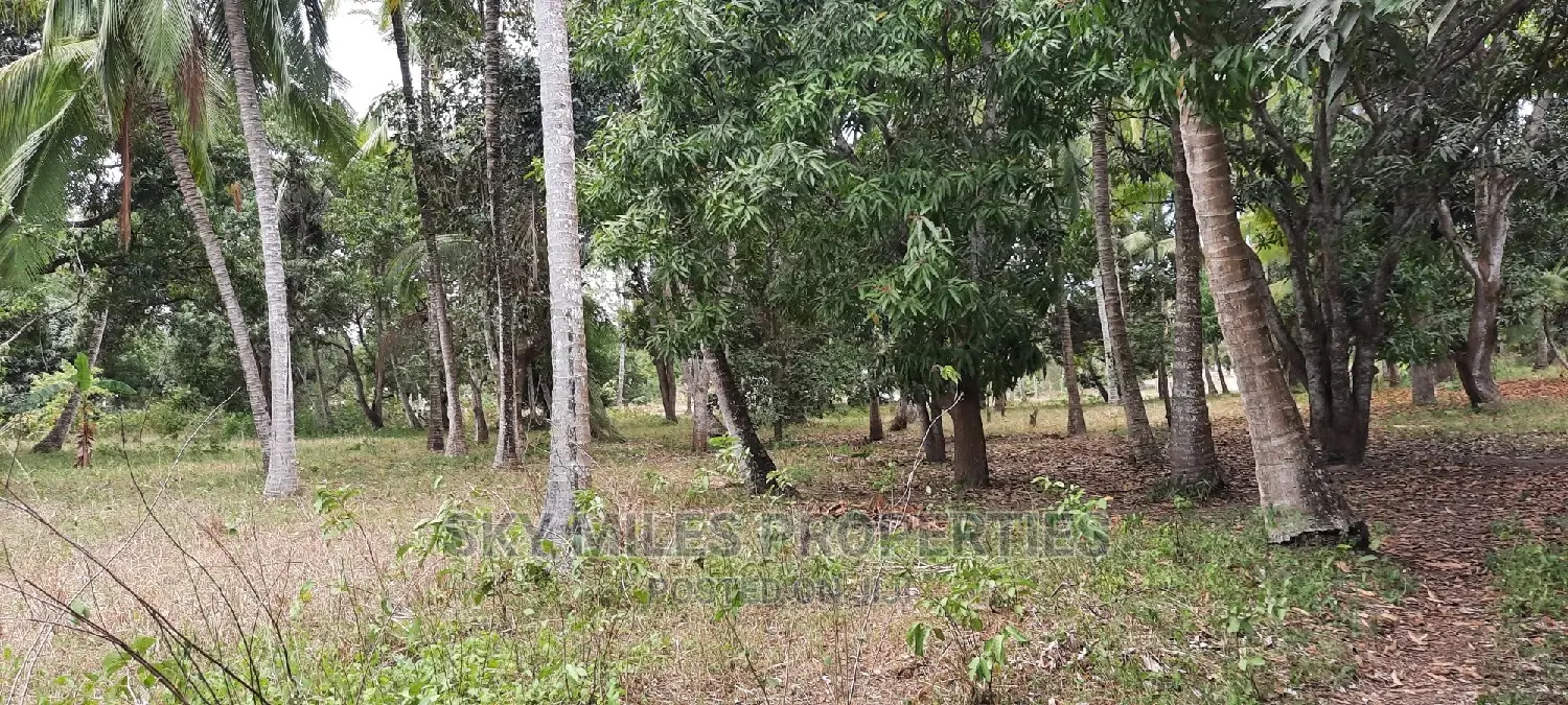 4 Acre Land in Mtwapa: Ideal for Investment Opportunities in Mtwapa