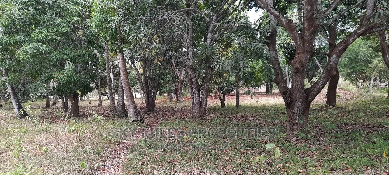 4 Acre Land in Mtwapa: Ideal for Investment Opportunities in Mtwapa
