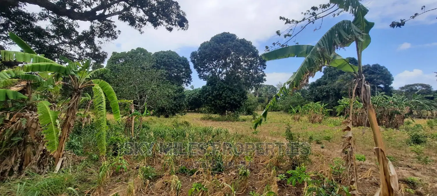 4 Acre Land in Mtwapa: Ideal for Investment Opportunities in Mtwapa