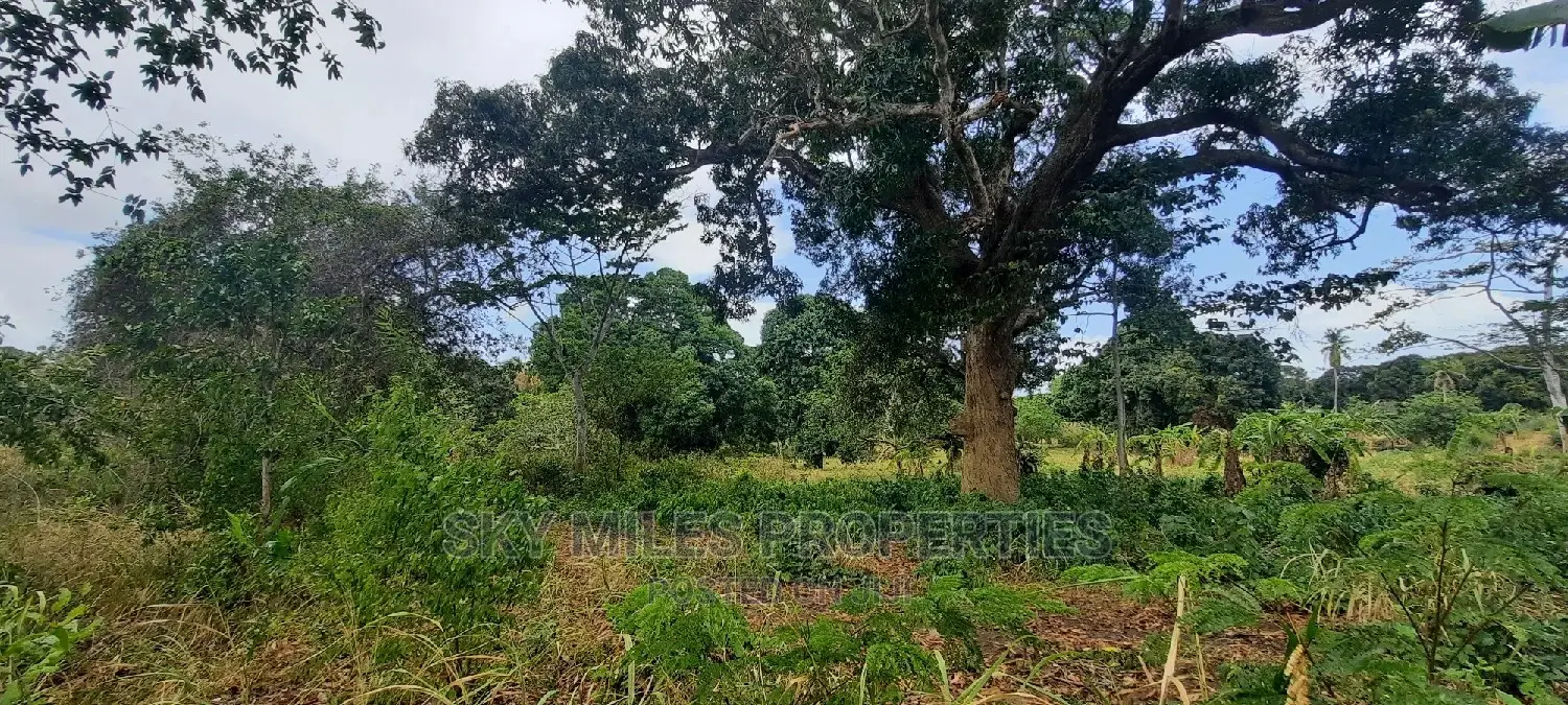 4 Acre Land in Mtwapa: Ideal for Investment Opportunities in Mtwapa