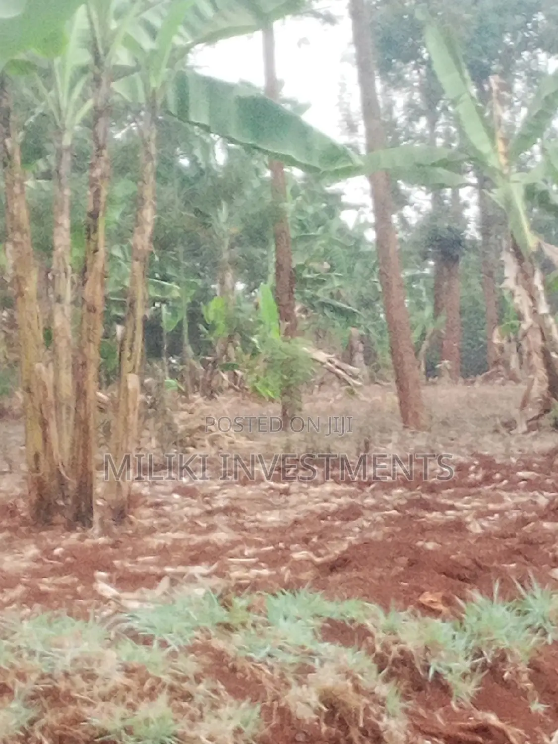 Kenol Town Offering 50x100 Units at Reduced Prices in Kimorori/Wempa