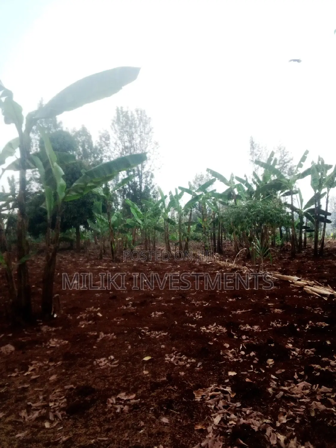 Kenol Town Offering 50x100 Units at Reduced Prices in Kimorori/Wempa