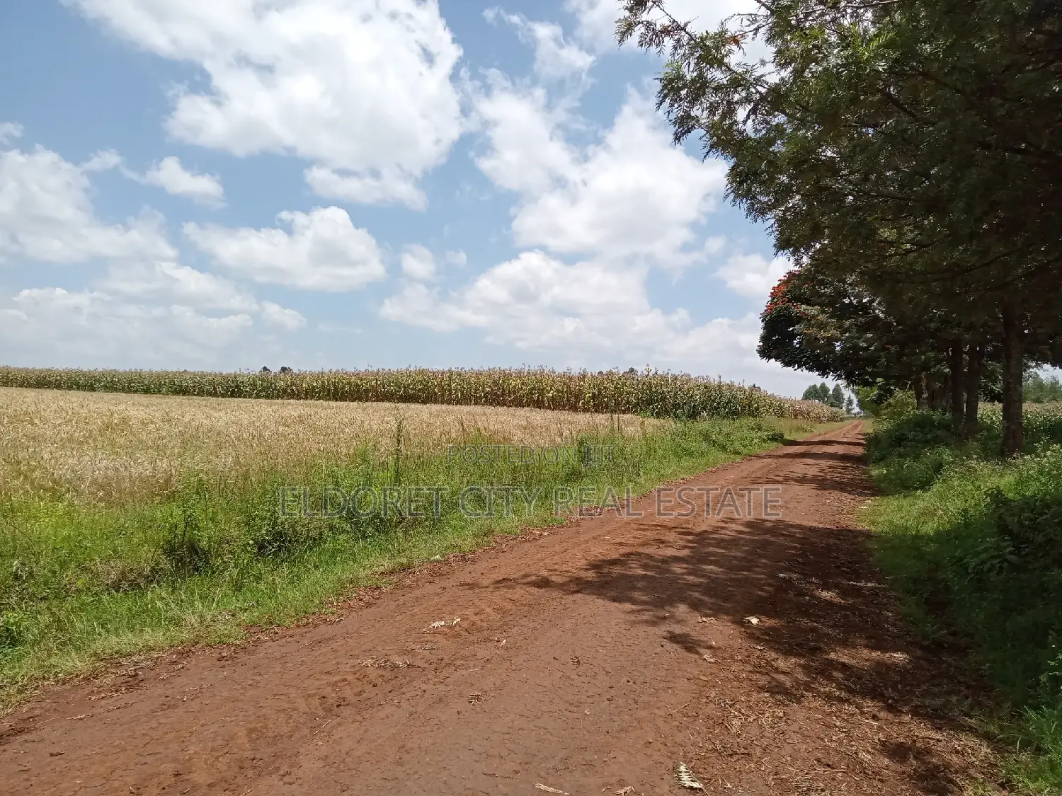 The Title: 5 Acres Kabenes Property in Eldoret CBD