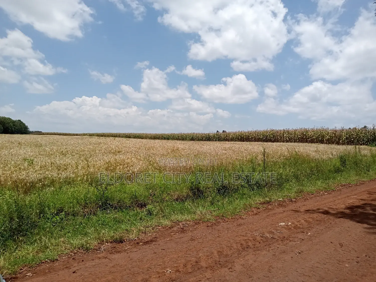 The Title: 5 Acres Kabenes Property in Eldoret CBD