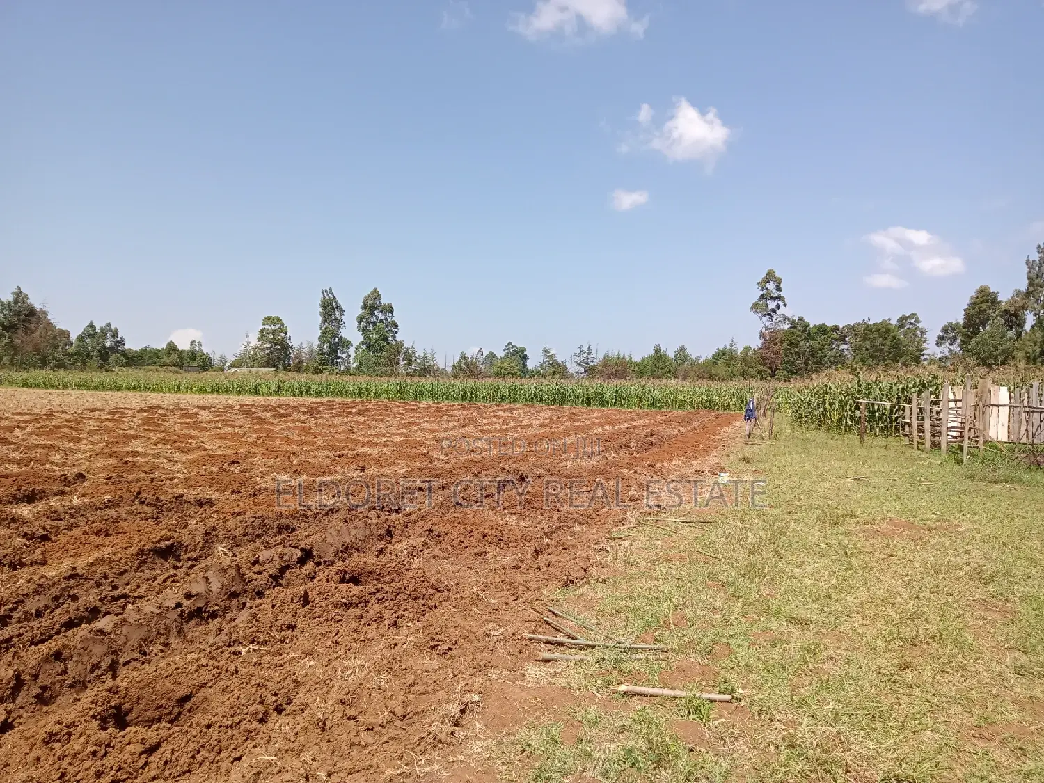 10-Acre Plot in Naiberi: Just 1.5km from Tarmac Access in Eldoret CBD