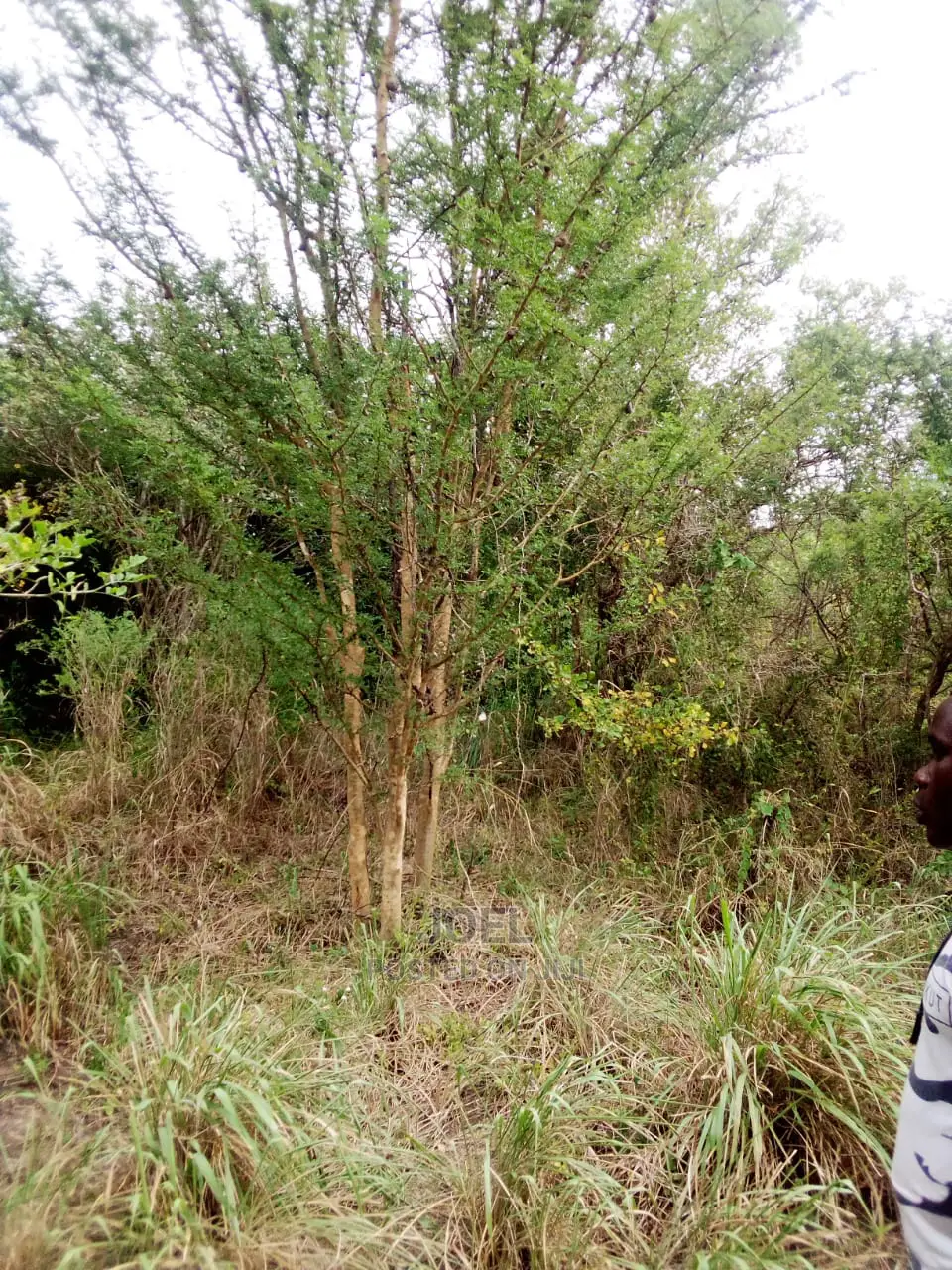Malindi's Largest Land Parcel - 10,000 Acres for Sale in Town Centre
