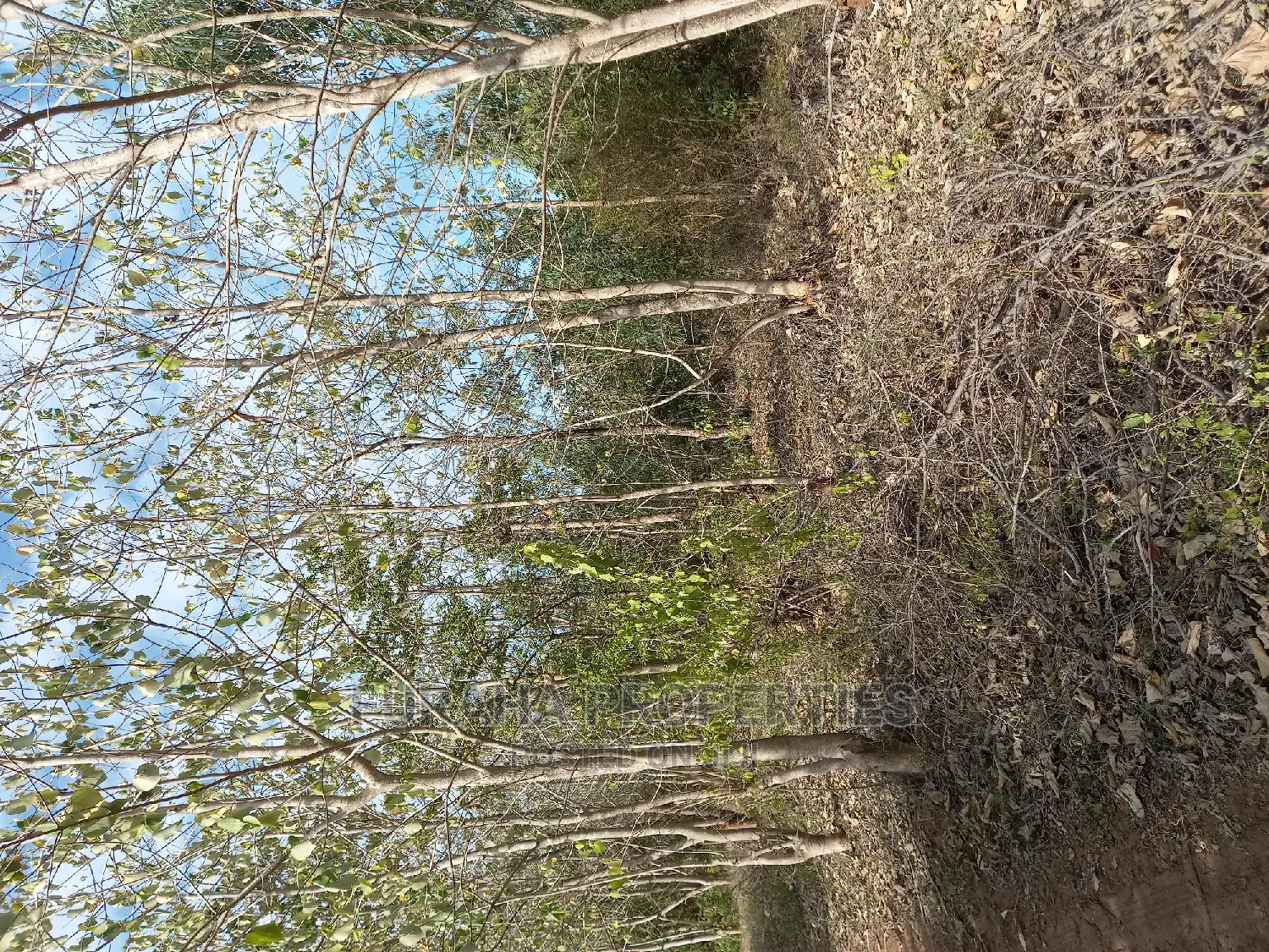 Prime Commercial Land: 1 Acre in Vipingo for Sale in Vipingo