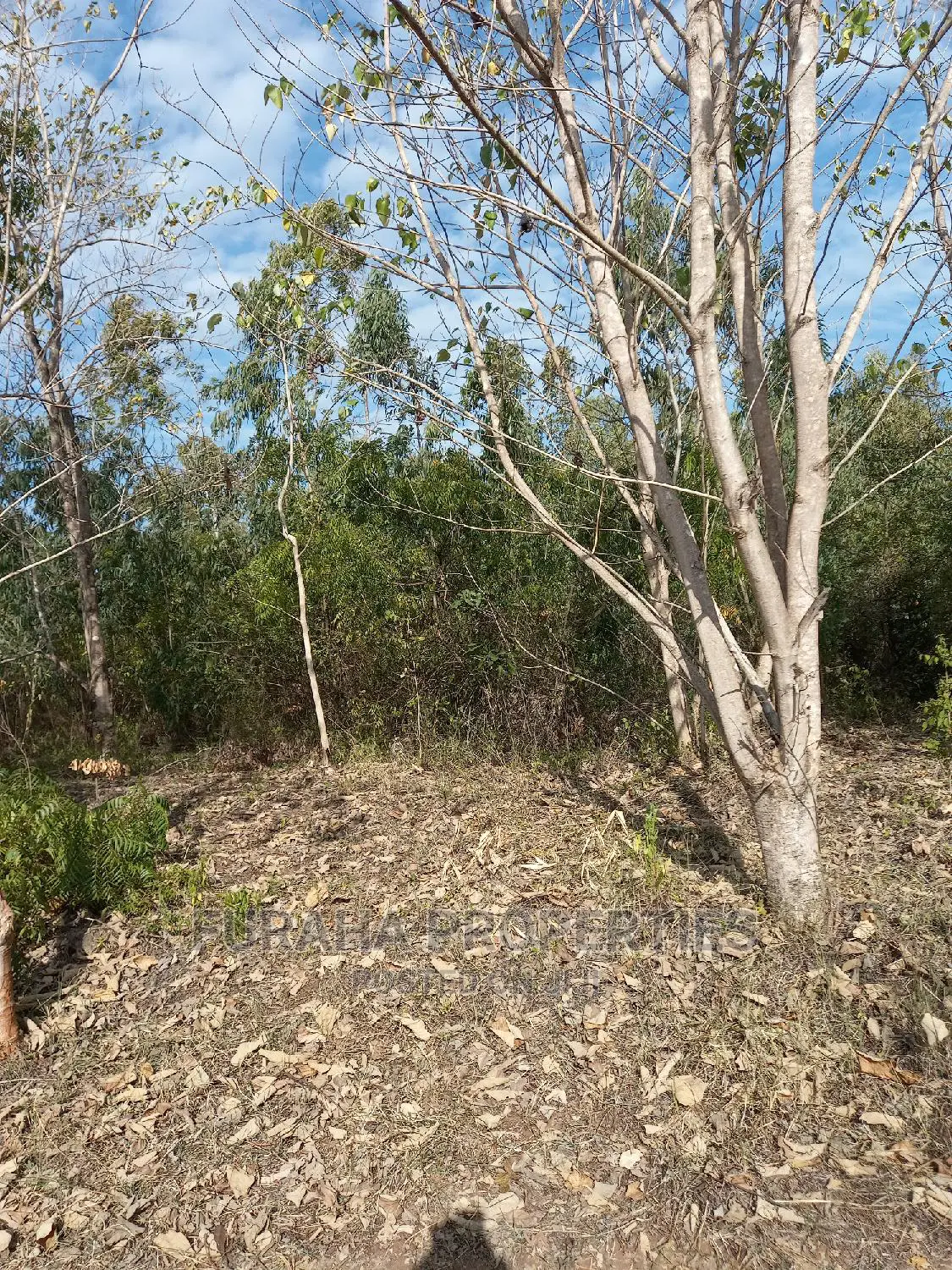 Prime Commercial Land: 1 Acre in Vipingo for Sale in Vipingo