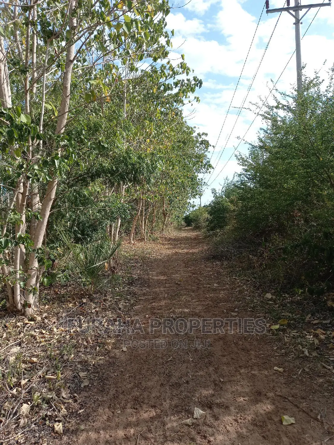 Prime Commercial Land: 1 Acre in Vipingo for Sale in Vipingo