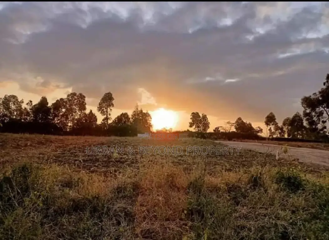 Kamangu: 50 by 100 Plots on Offer - Seize Your Chance for a Great Investment in Kikuyu