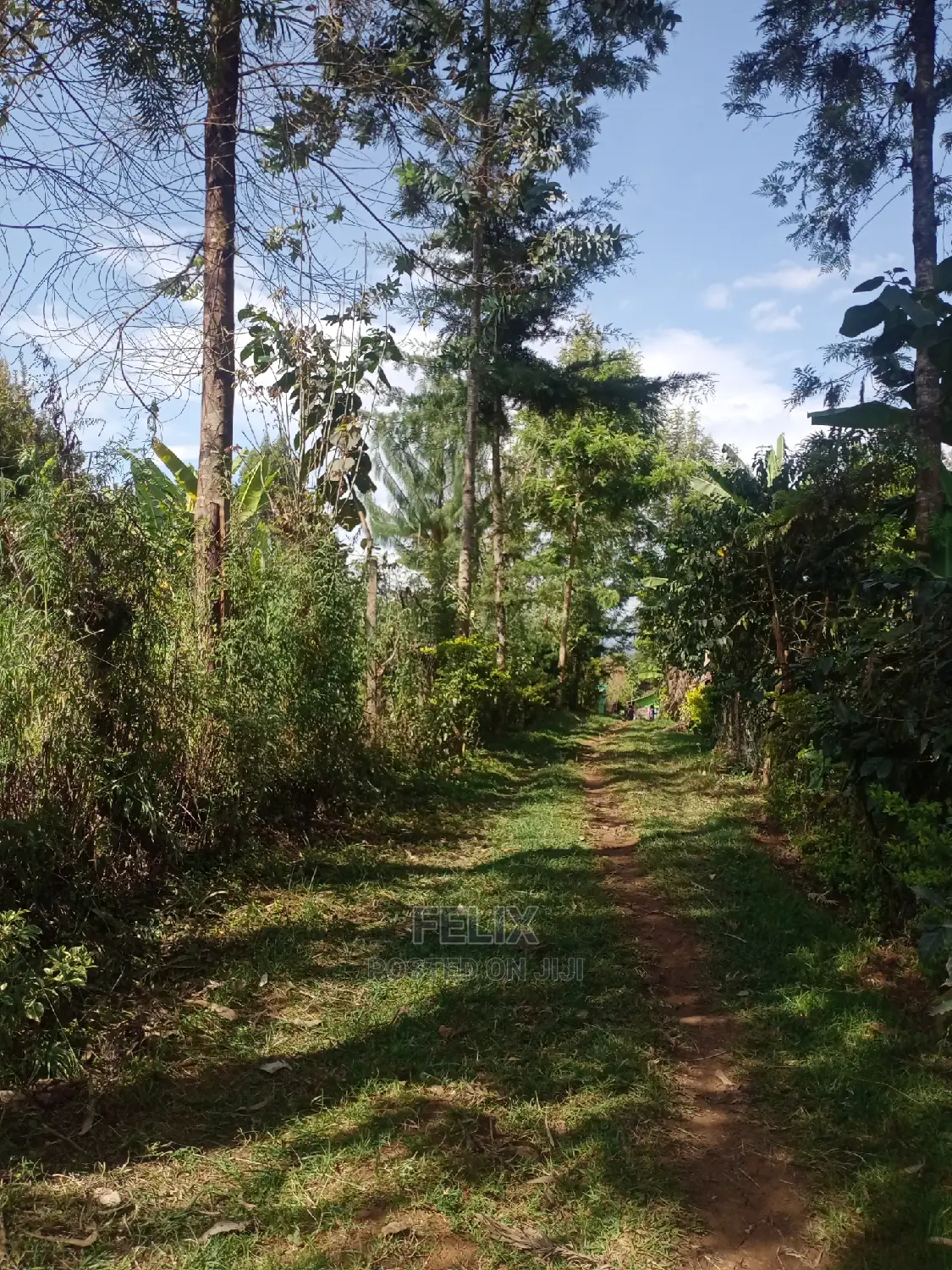 3bdrm House in Karindundu Estate, Karatina Town for Sale in Karatina Town