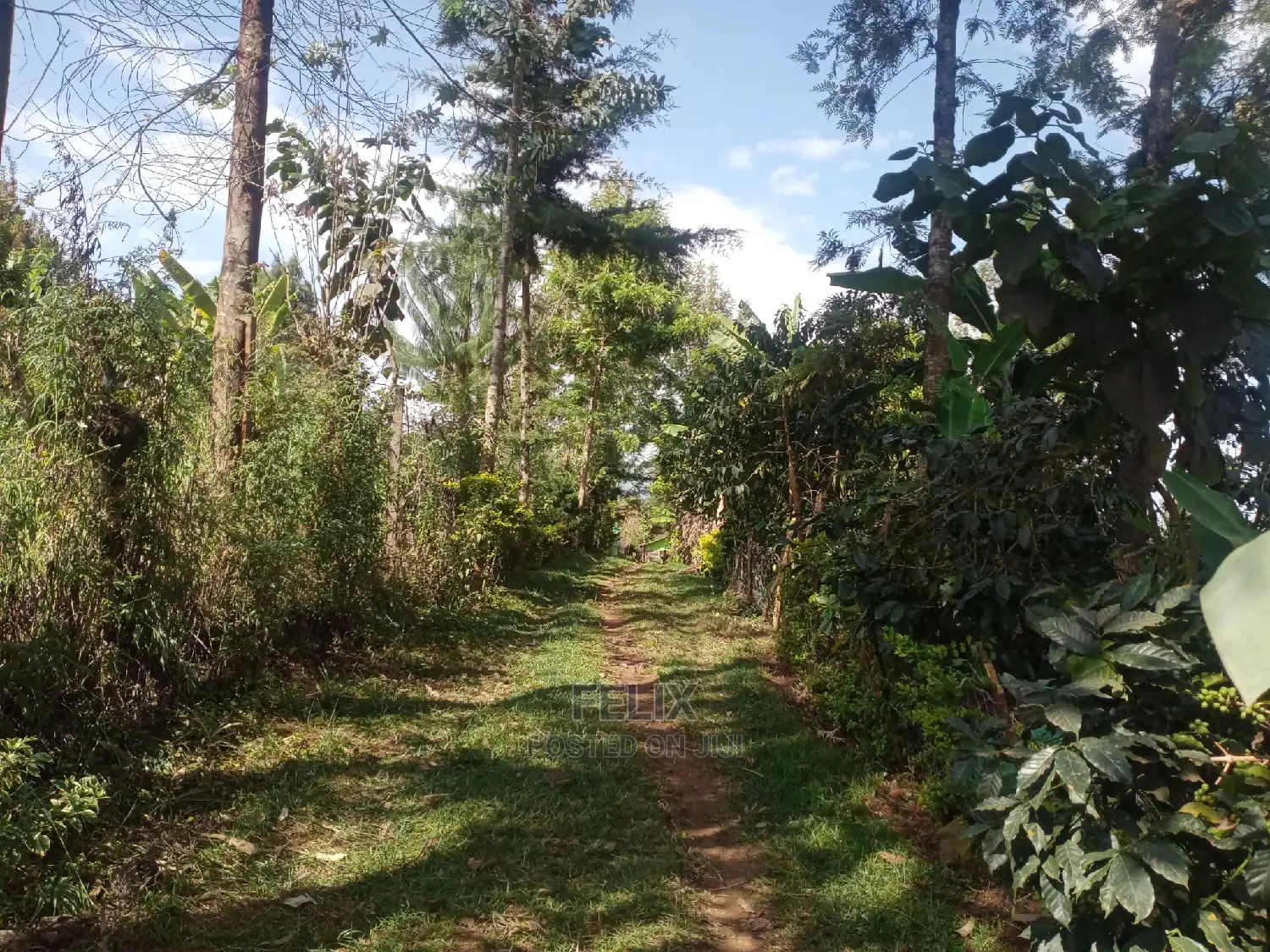 3bdrm House in Karindundu Estate, Karatina Town for Sale in Karatina Town