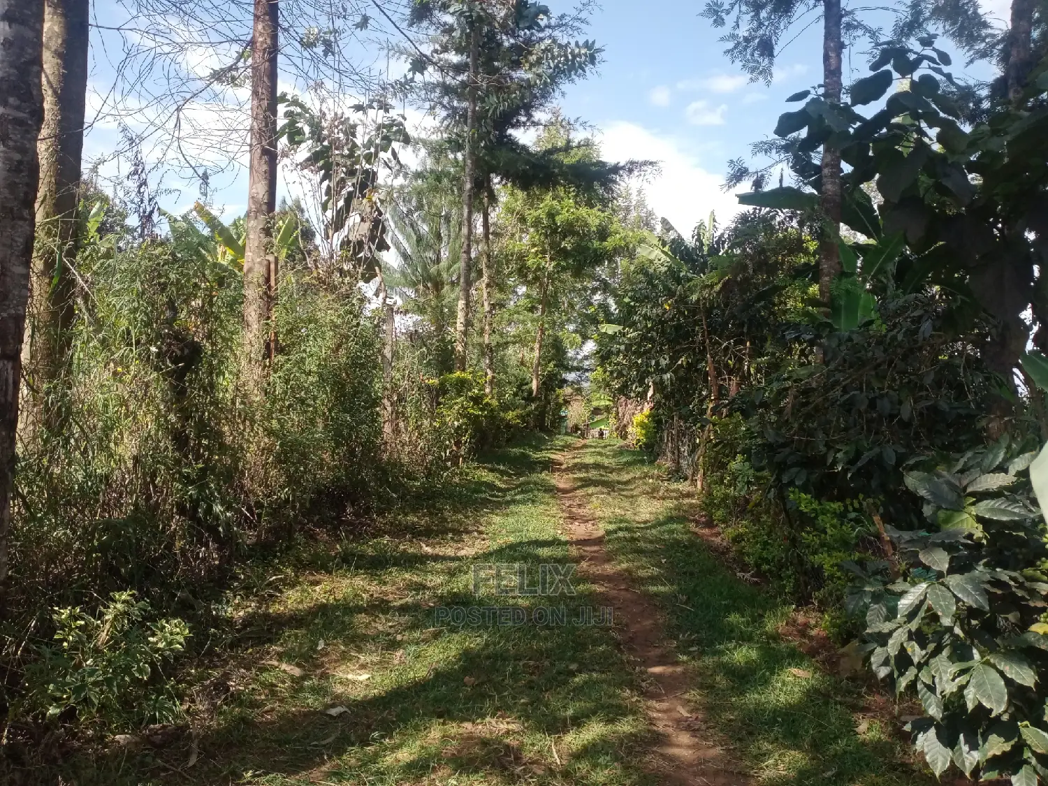 3bdrm House in Karindundu Estate, Karatina Town for Sale in Karatina Town