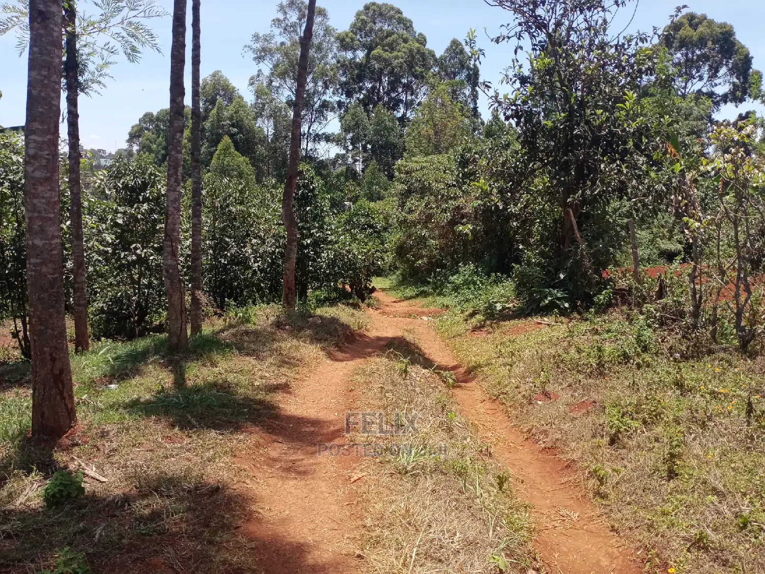 Karatina/Mathaithi Quota Plot in Karatina Town