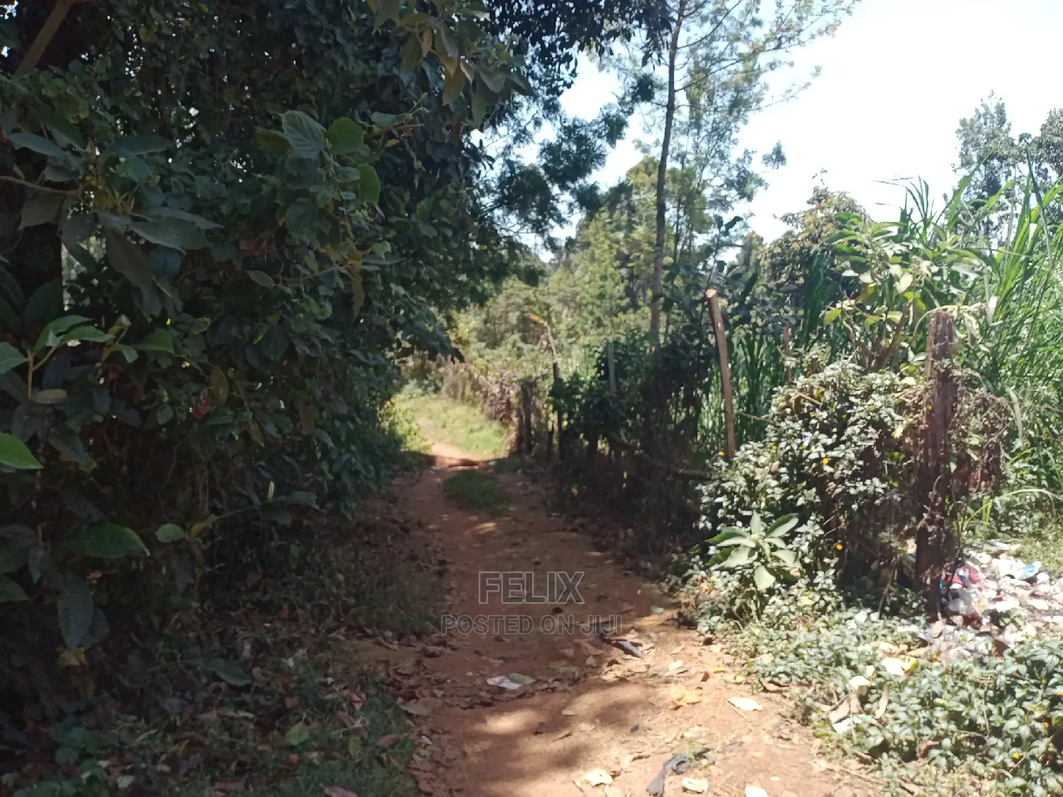 Karatina/Mathaithi Quota Plot in Karatina Town