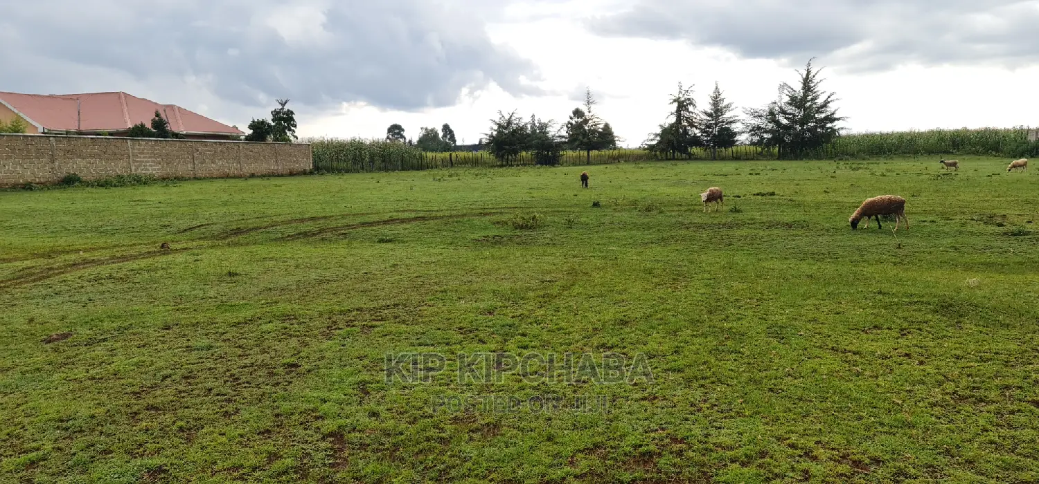 Kipkorgot Land Plots - Buy Your Dream Property in Ekdoret Today! in Hillside