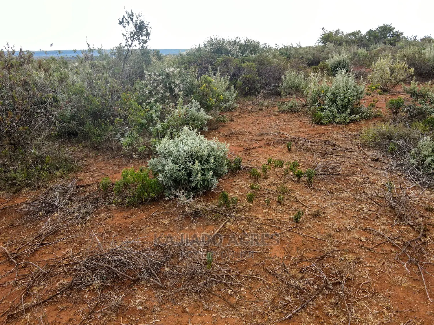 Kimuka Land at Unbeatable Price: 15 Acres for 3.2m each in Ngong
