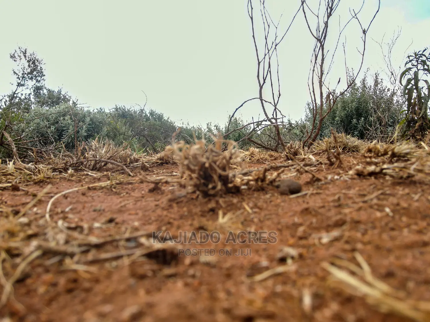 Kimuka Land at Unbeatable Price: 15 Acres for 3.2m each in Ngong