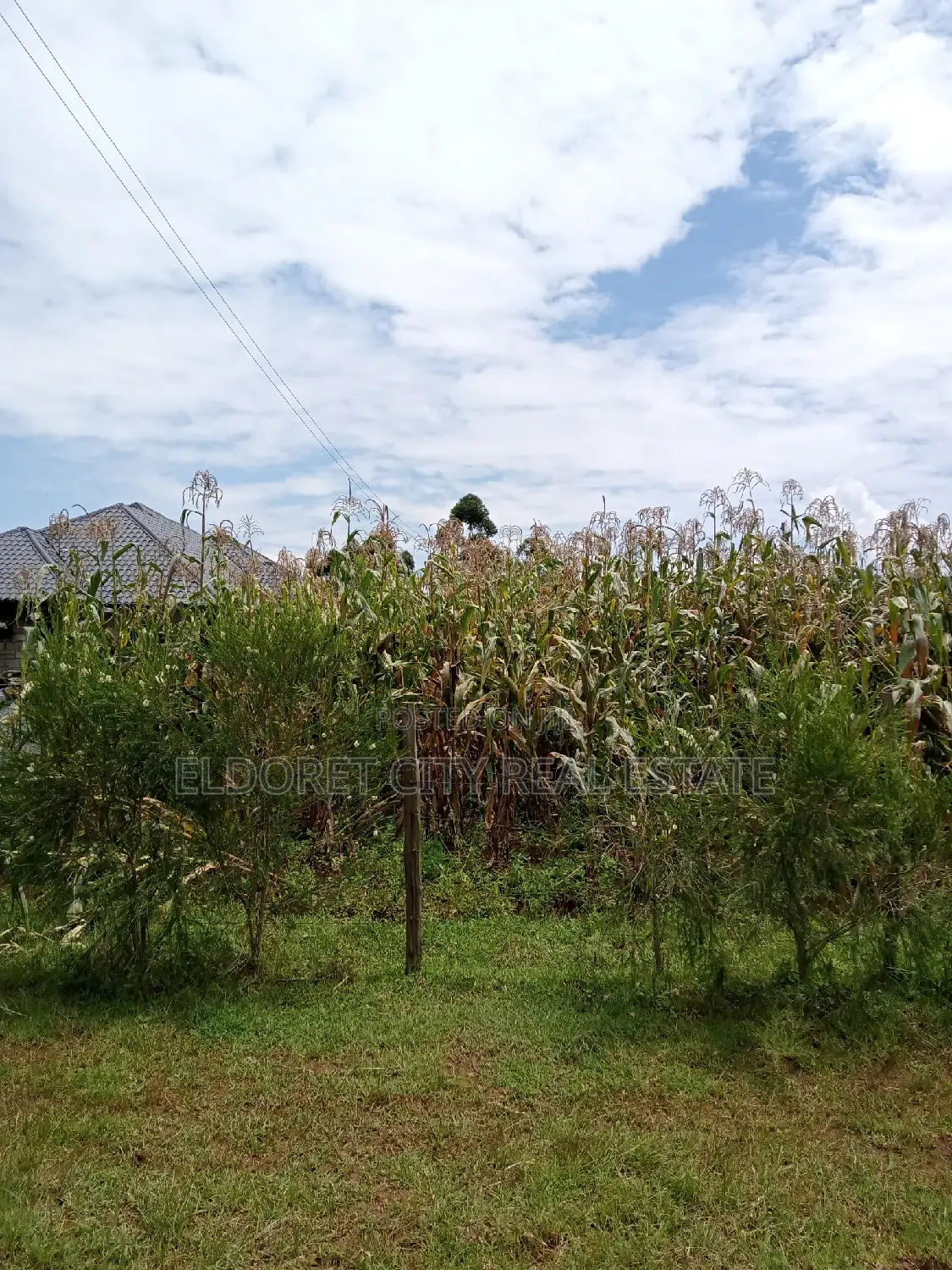 Kiplombe 1/2 Acre Plot - Suitable for Residential Purposes in Eldoret CBD