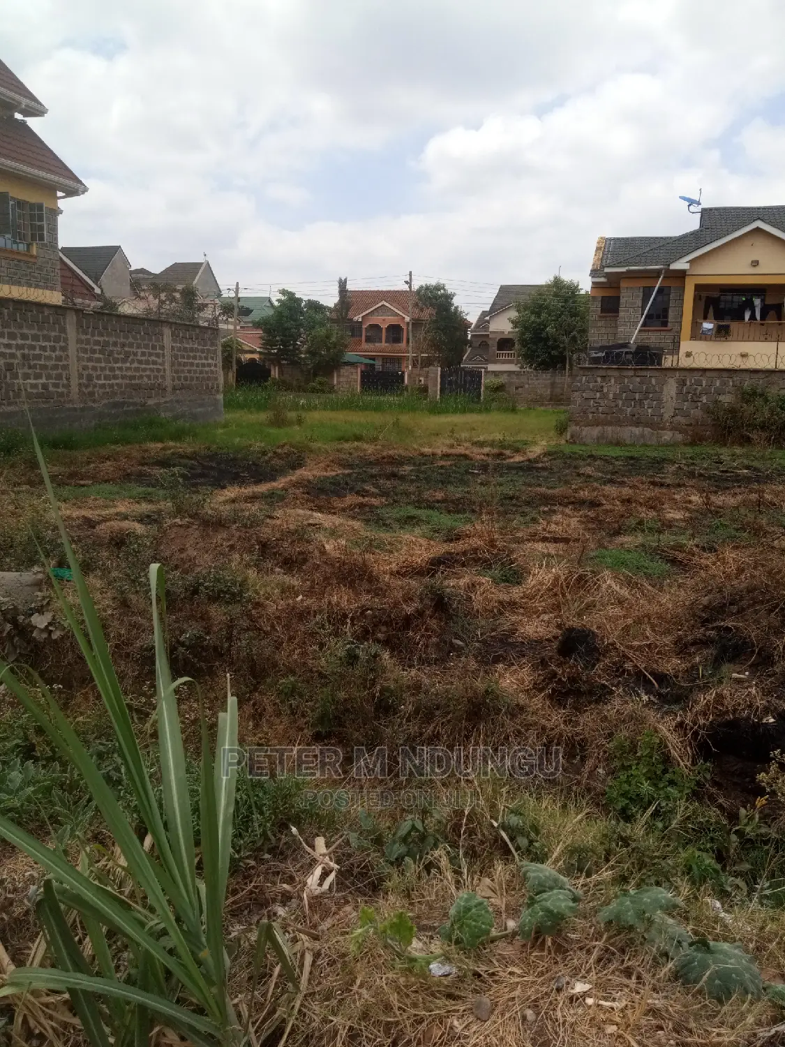 Membley Estate: 2 Large Plots of 80*80 sq.m - A Great Investment Opportunity in Membley Estate