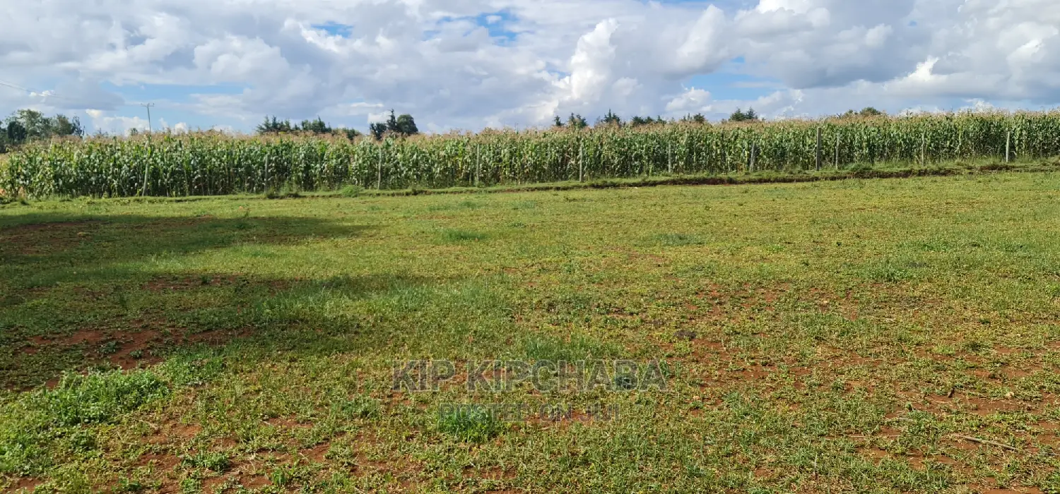 1/4 Acre Land Parcel in Illula Eldoret - Invest Today for Future Growth in Illula