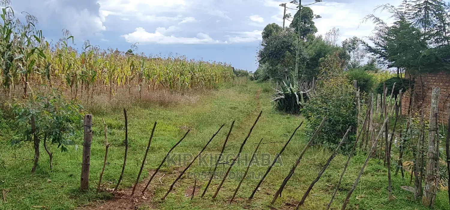 1/4 Acre Land Parcel in Illula Eldoret - Invest Today for Future Growth in Illula