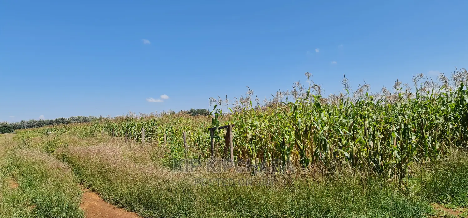 1 Acre Land Touching Highway Marura Kimumu in Eldoret in Kimumu