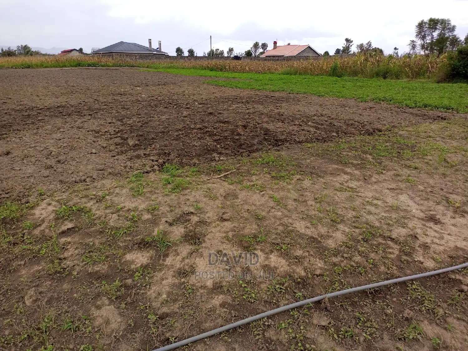 Plot for Sale in Lower Mawanga (50x100 and Quarters) in KITI Area