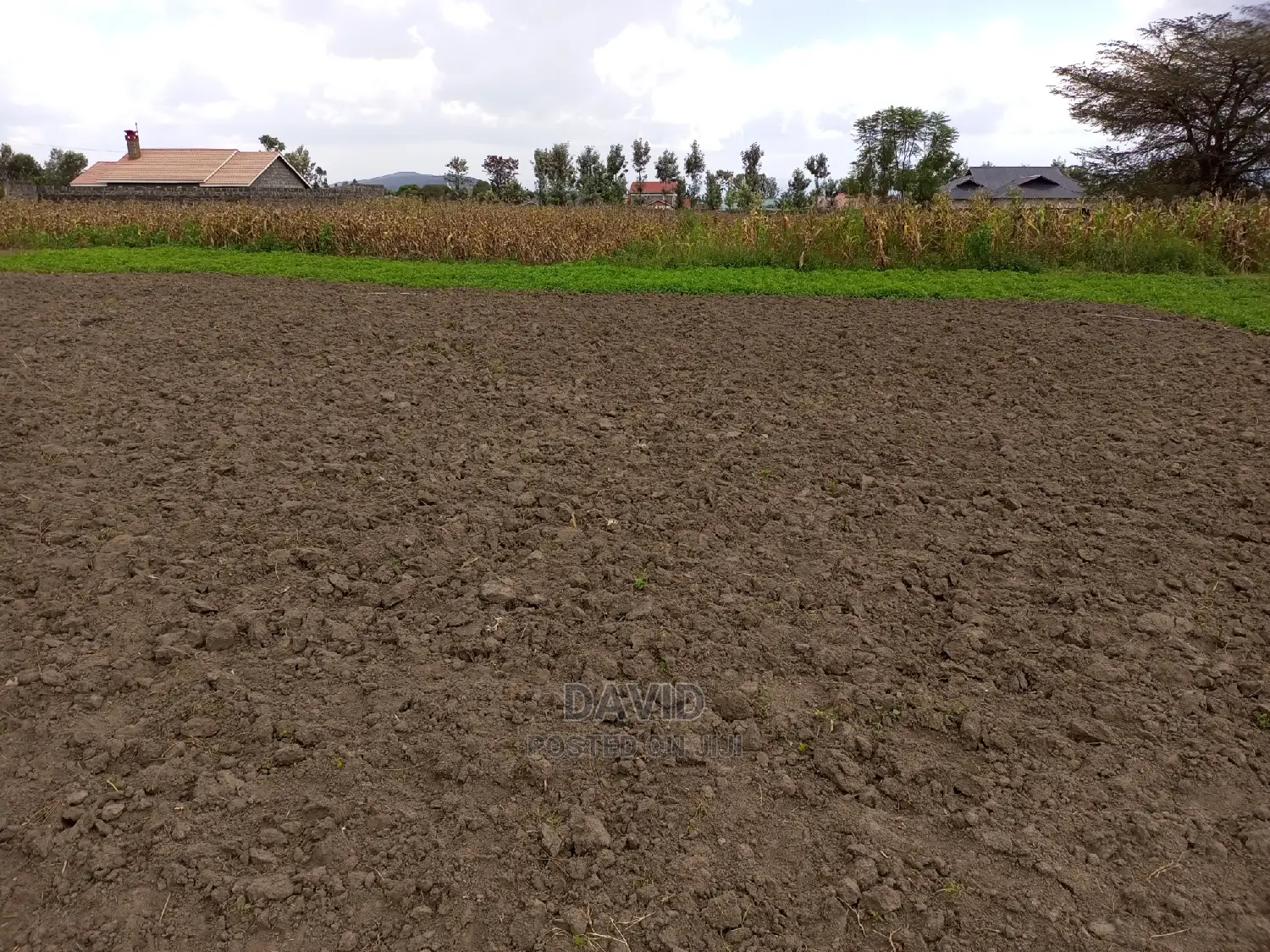 Plot for Sale in Lower Mawanga (50x100 and Quarters) in KITI Area